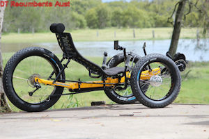 MagnumFat1 recumbent trike